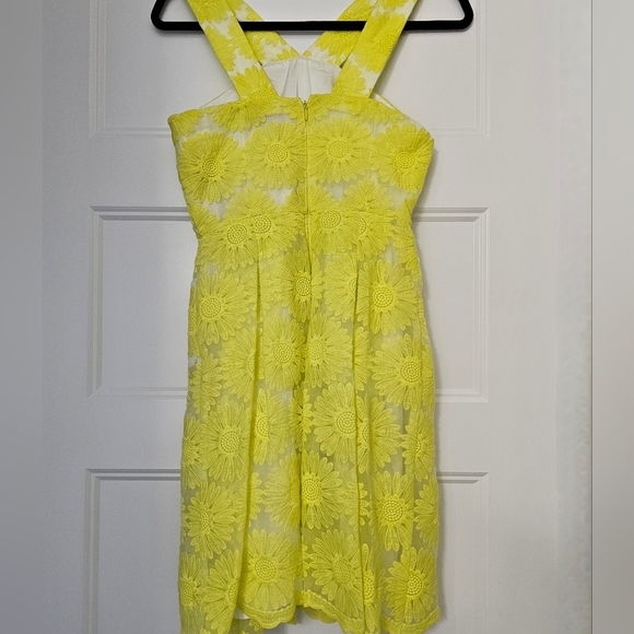 New Daniel Cremieux Women's "Natalie" Daisy Sleeveless Sundress sz 0 NWT - Picture 7 of 8